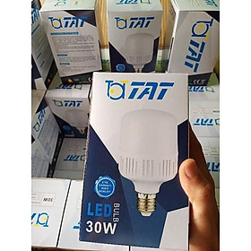 Mua bộ 10 bóng đèn led 30w TaT