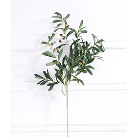 Cành lá olive có quả trang trí nhà, hoa decor chụp ảnh cao cấp