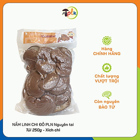 NẤM LINH CHI ĐỎ PLN - Nguyên tai. Túi 250g - Xích chi