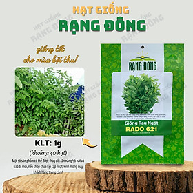 Mua Hạt giống Rau Ngót Rado 621 (1g~40 hạt) Rau Bồ Ngót trồng quanh năm  sinh trưởng khỏe - Hạt giống Rạng Đông