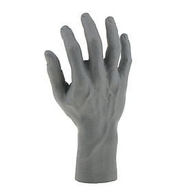 Male Mannequin Right Hand For Jewelry Bracelet Watch Glove Ring Display
