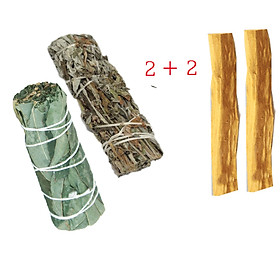 Sét 4 món (1 xô bạch đàn+1 xô đen + 2 thanh palo santo) xông thơm và bảo vệ nhà cửa