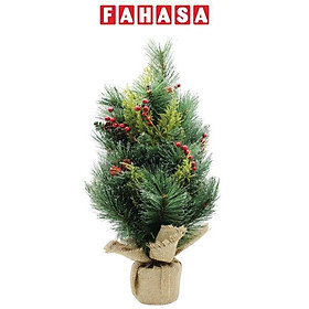 Cây Thông Mini 3 Loại Lá 60cm - Chaang Chiia LP-SA-60CM