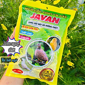 500gram thức ăn ngũ cốc chim cu gáy Javan 12 loại hạt