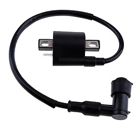 Motorcycle Ignition Coil for Yamaha Virago 250 XV250 1995-2007 2005 2006