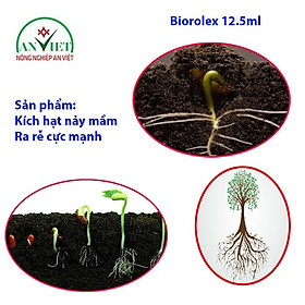 Kích hạt nảy mầm cây non ra rễ Biorolex 12.5ml, kích hạt nảy mầm, kích rễ cực mạnh hạn chế vàng lá, sâu bệnh