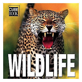 Nơi bán Wildlife (CubeBook) - Giá Từ -1đ
