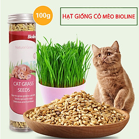 Hạt Giống Cỏ Mèo Tươi Cho Mèo Cat Grass Seeds Bioline 100g - YonaPetshop
