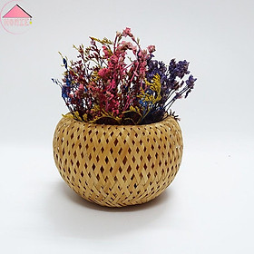 Mua Chậu hoa khô kèm đèn LED trang trí độc đáo