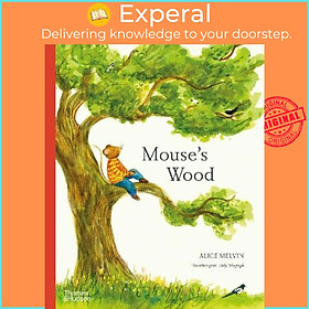 Sách - Mouse's Wood : A Year in Nature by Alice Melvin (UK edition, paperback)