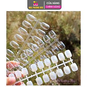 Vỉ Móng Mẫu Form Vuông 240 Móng/Bịch, Nhựa Loại 1 Trong Và Đục, Tập Sơn Vẽ Hoạt Hình, Làm Nail Cho Học Viên Và Thợ Mới Nữ Women
