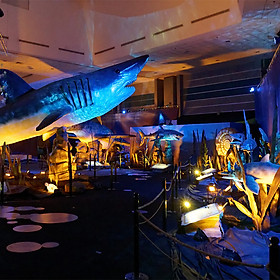 Vé Science Centre Và Rạp Phim Ommi Ở Singapore