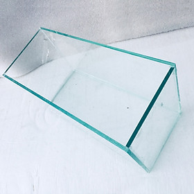 Bể cá mini để bàn 30x13x15cm