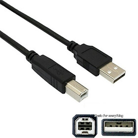 Mua Dây cáp USB Magic cấp điện cho sound card K10 H9 HF500 ICON UPOD PRO- Hàng nhập khẩu