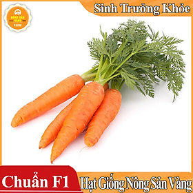 Mua Hạt giống Cà Rốt Thường F1 ( Gói 3 Gram ) - Nông Sản Vàng