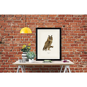 Tranh Canvas Động vật Chim Cú Mèo cao cấp. , Khung hợp nhôm chống ẩm, bền, đẹp, nhiều kích thước. Phù hợp nhiều không gian sang trọng