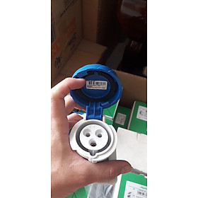 Mua Ổ cắm công nghiệp PKF16G723 Schneider 3P | Chính hãng |
