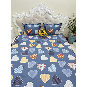 Ga giường chun cotton 100% bọc đệm tặng kèm 2 vỏ gối đầu