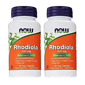 Viên Uống Now Rhodiola Rosea 500mg