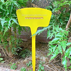 10 THẺ CỠ TO GHI TÊN CÂY TRỒNG,ĐỒ VẬT