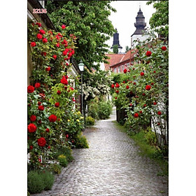 Mua Combo 2t tranh 3D dán kính 2 mặt 58x180cm