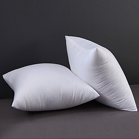 Mua Ruột gối vuông 45cm x 45cm