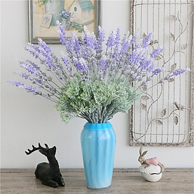Cành hoa lavender tím phủ phấn