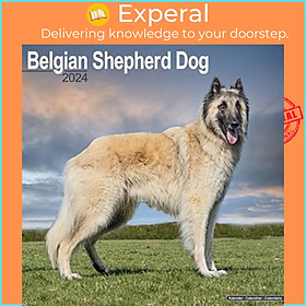 Sách - Belgian Shepherd Dog Calendar 2024  Square Dog Breed Wall Calendar - 16 Month by  (UK edition, paperback)