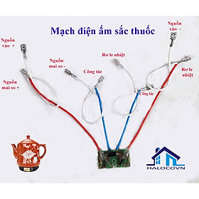 Mạch điện ấm sắc thuốc bắc điện _ sửa chữa ấm đun thuốc