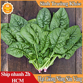 Mua Hạt giống Cải Bó Xôi Chịu Nhiệt  Dễ Trồng Được Nhiều Người Ưa Chuộng( Gói 10 Gram ) - Nông Sản Vàng