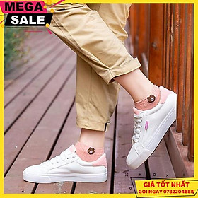 Mua Combo 2 Set Túi Vớ Nữ In Hình Gấu Brown (Mỗi Túi 10 Đôi Vớ) - Giao Hàng Toàn Quốc