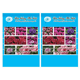 Bộ 2 Gói Hạt Giống Hoa Dạ Yến Thảo Kép - Mix Nhiều Màu (Petunia grandiflora) 5h