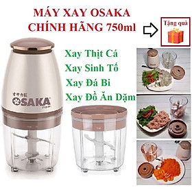 Mua Máy Xay Sinh Tố Đa Năng 750ml Xay Thịt - Xay Đá - Xay Sinh Tố - Xay Đồ Ăn Dặm