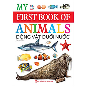 My First Book Of Animal - Động vật dưới nước - Quyển sách đầu tiên của bé về động vật. - Chủ đề động vật dưới nước