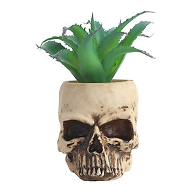 Skull Head Succulent Flower Pot Resin Craft Desktop Bonsai Flowerpot Vase
