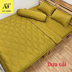 Ga - drap giường lẻ thun mát lạnh thương hiệuu dưa cải