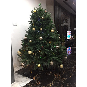 Cây thông Pe cao cấp 2m - Cây thông noel PE - Cây tự động bung cành