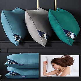 Mua 1 cặp Ruột Gối Đầu Cao Cấp Pillow Nhiều Màu Tiêu Chuẩn 5* Kích Thước 45x65cm (02 chiếc)