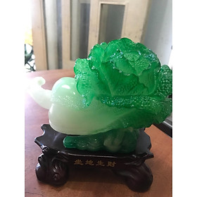 BẮP CẢI XANH TƯƠI ĐẾ GỖ 16cm ĐỂ BÀN LÀM VIỆC TỐT LẮM XINH - BẮP CẢI VÍ NHƯ CHIẾC TÚI CHỨA ĐẦY CỦA CẢI