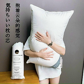 Mua Đôi ruột gối lông vũ nhân tạo