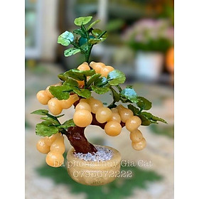 Mua cây hồ lô đá ngọc hoàng long phong thuỷ