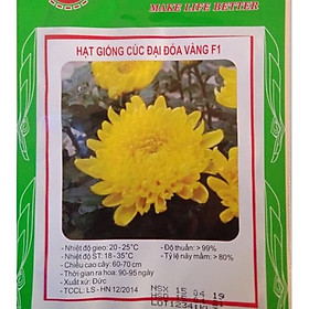 Hạt giống hoa cúc đại đóa vàng CT476 - Gói 50 hạt