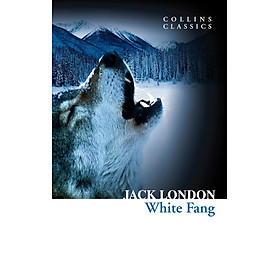 Sách Ngoại Văn - White Fang (Collins Classics)