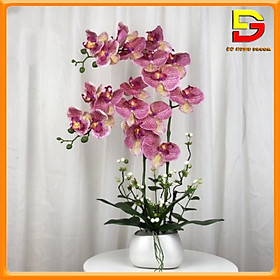 Mua Hoa Giả Chậu Hoa Lan Hồ Điệp 2 Nhánh Cắm Sẵn Nhiều Sắc Decor Trang Trí Nhà Cửa DG-169