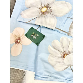 Mua 1m6x2m  TENCEL LỤA  Bộ 4 món ga tencel giá rẻ mềm mịn