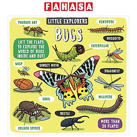 Sách ngoại văn: Little Explorers - Bugs - Grantham Book Services