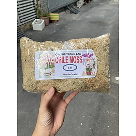 Combo 20 gói Dớn Chile Moss giữ ẩm cho Lan