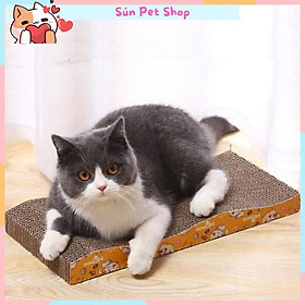 Bàn cào móng cho mèo tặng kèm cỏ bạc hà Catnip