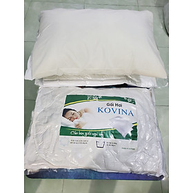 Mua ( BỘ 2 GỐI) bộ 2 gối nằm mút foam  hàng cao cáp  kích thước 40x60cm