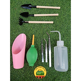 Mua Combo 9 món dụng cụ trồng sen đá  xương rồng  lithops